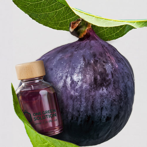 White Tea & Fig