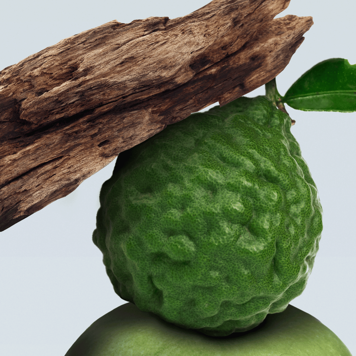 Citrus Wood Diffuser Oil