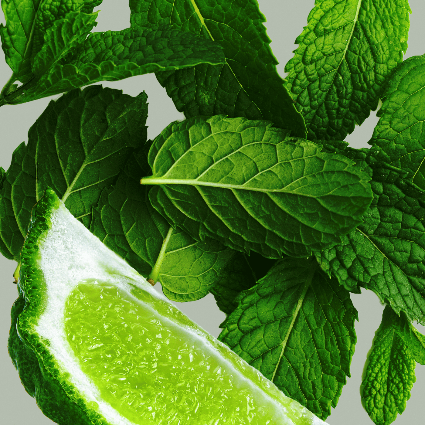 Asian Mint Diffuser Oil