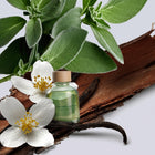 Elegance Signature Scent oil bottle with sage leaves, white flowers, cedar bark and vanilla beans