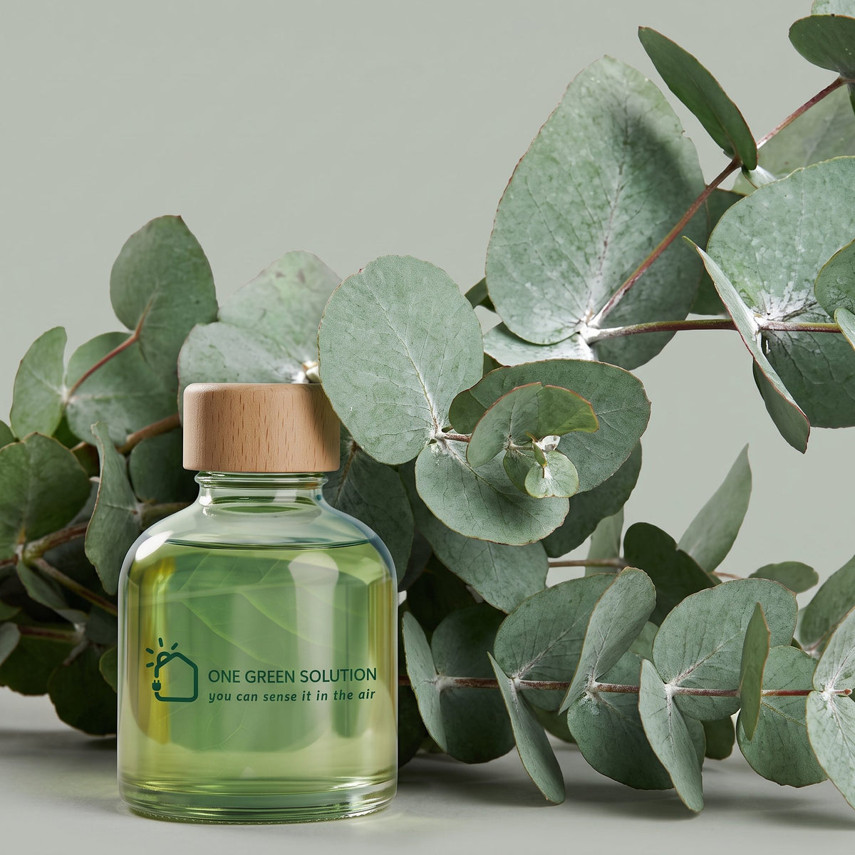 Eucalyptus Signature Scent oil bottle in front of fresh eucalyptus branches