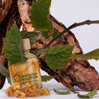 New York Signature Scent oil bottle with oakmoss-style leaves, wood bark and golden amber resin