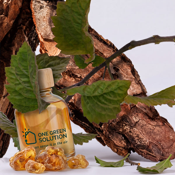 New York Signature Scent oil bottle with oakmoss-style leaves, wood bark and golden amber resin