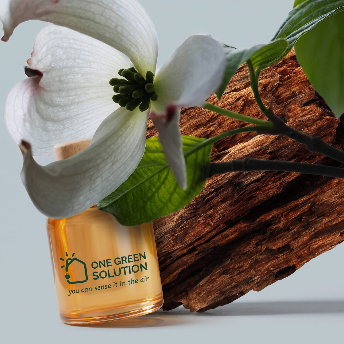 Santal Signature Scent oil bottle under a white dogwood flower and a piece of sandalwood