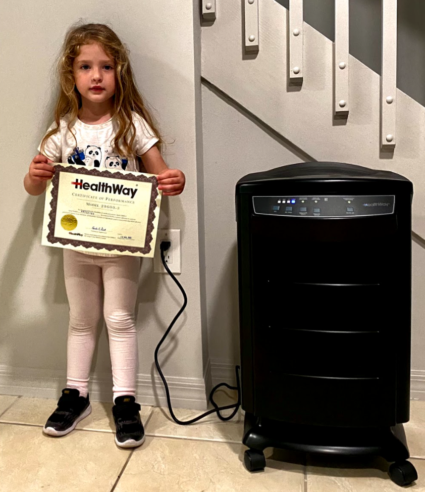 Healthway deluxe air purification system for home and business