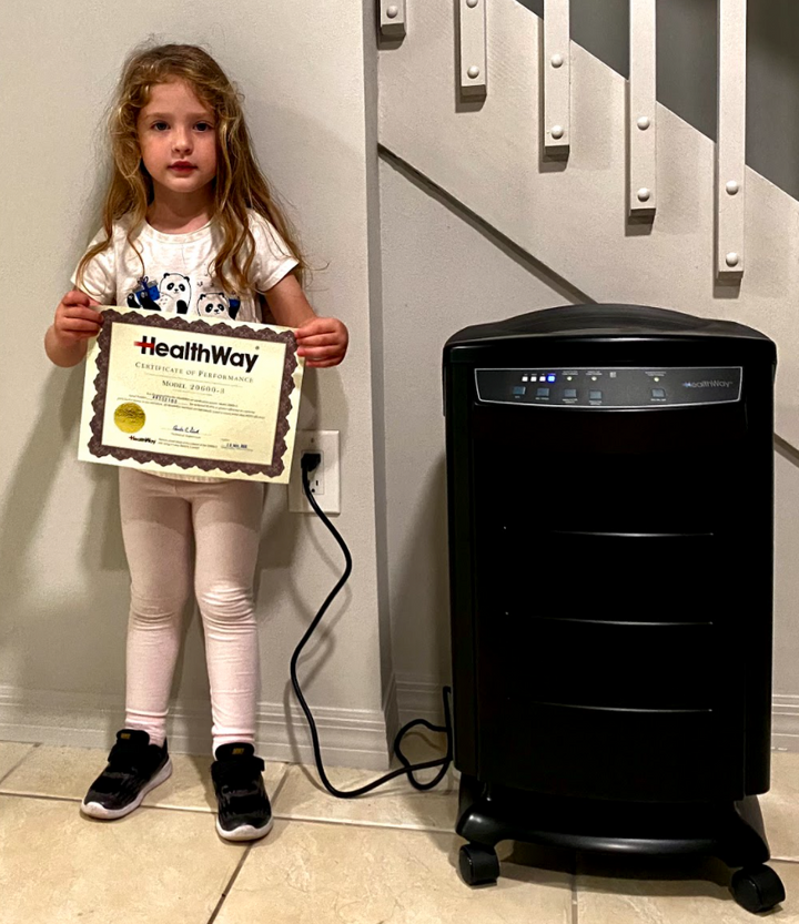 Healthway air purifier cost discount